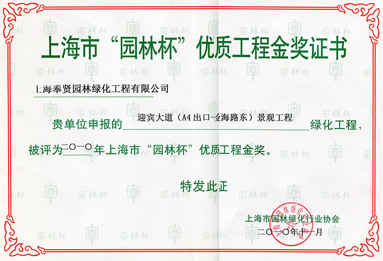 591529a174fe0.jpg 2010年“園林杯”優質工程金獎-迎賓大道(dào)(A4出口-金海路東)景觀工程2.jpg