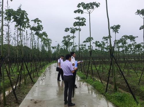 5ef7e50bc5f6c.jpg 市林業站實地檢查1.jpg