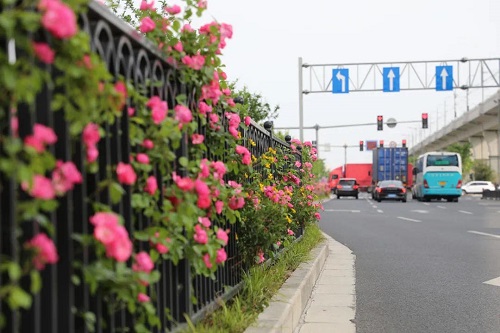 5f96610a06f5b.jpg 效果圖3.jpg