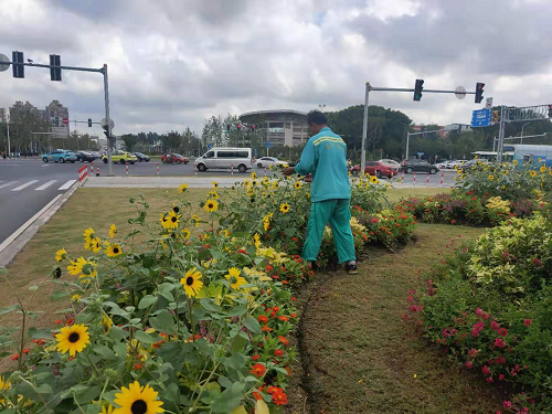 60ff6e7001a3f.png 圖片1.png