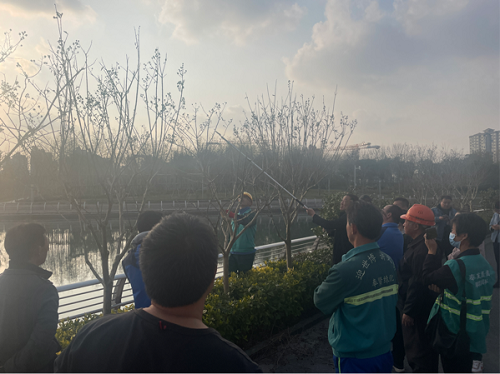 61cc1d2441290.png 1.png