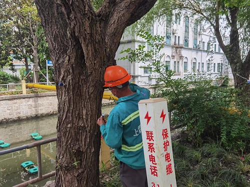 圖片3.png 圖片3.png