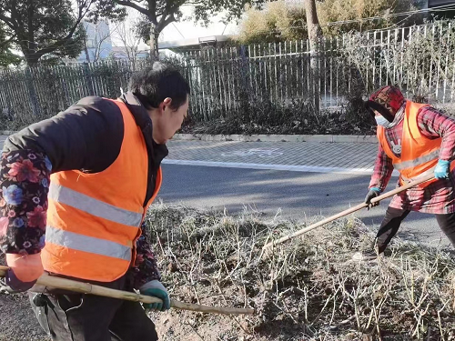 月季冬肥2.png 月季冬肥2.png